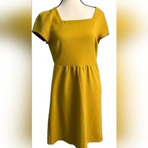 LOFT NWT Gold Knee Length Dress with Square Neck, Size Small